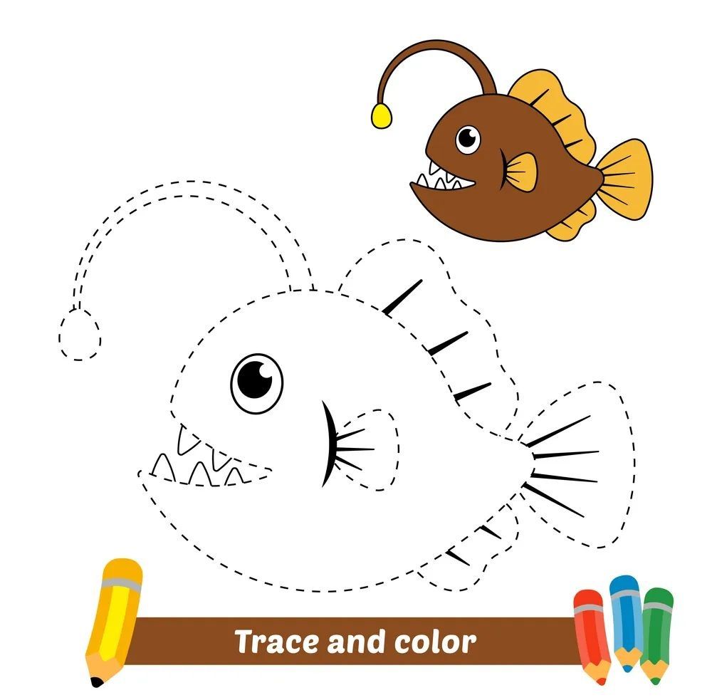 Çizgi Çalışmaları