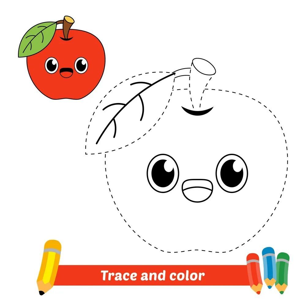 Çizgi Çalışmaları