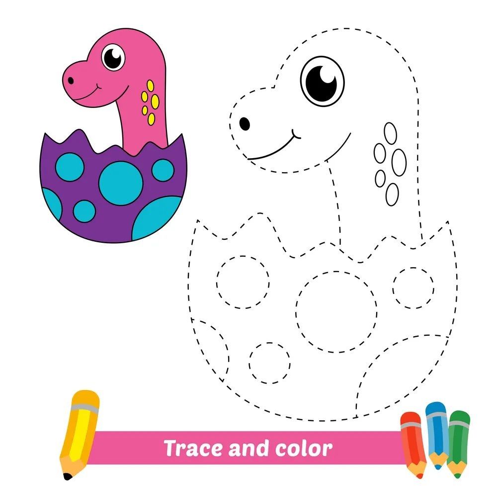 Çizgi Çalışmaları