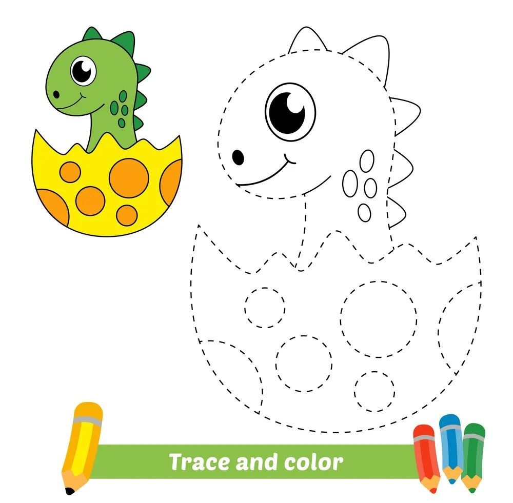 Çizgi Çalışmaları