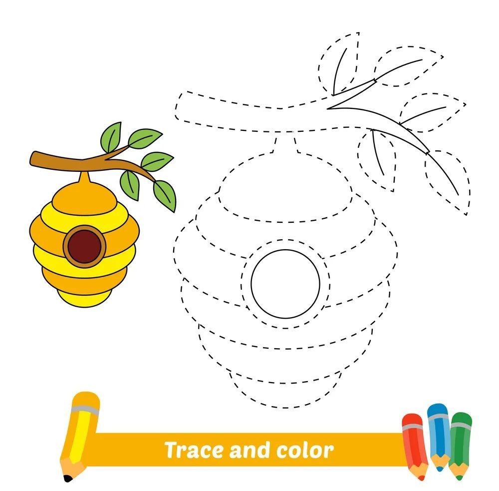 Çizgi Çalışmaları