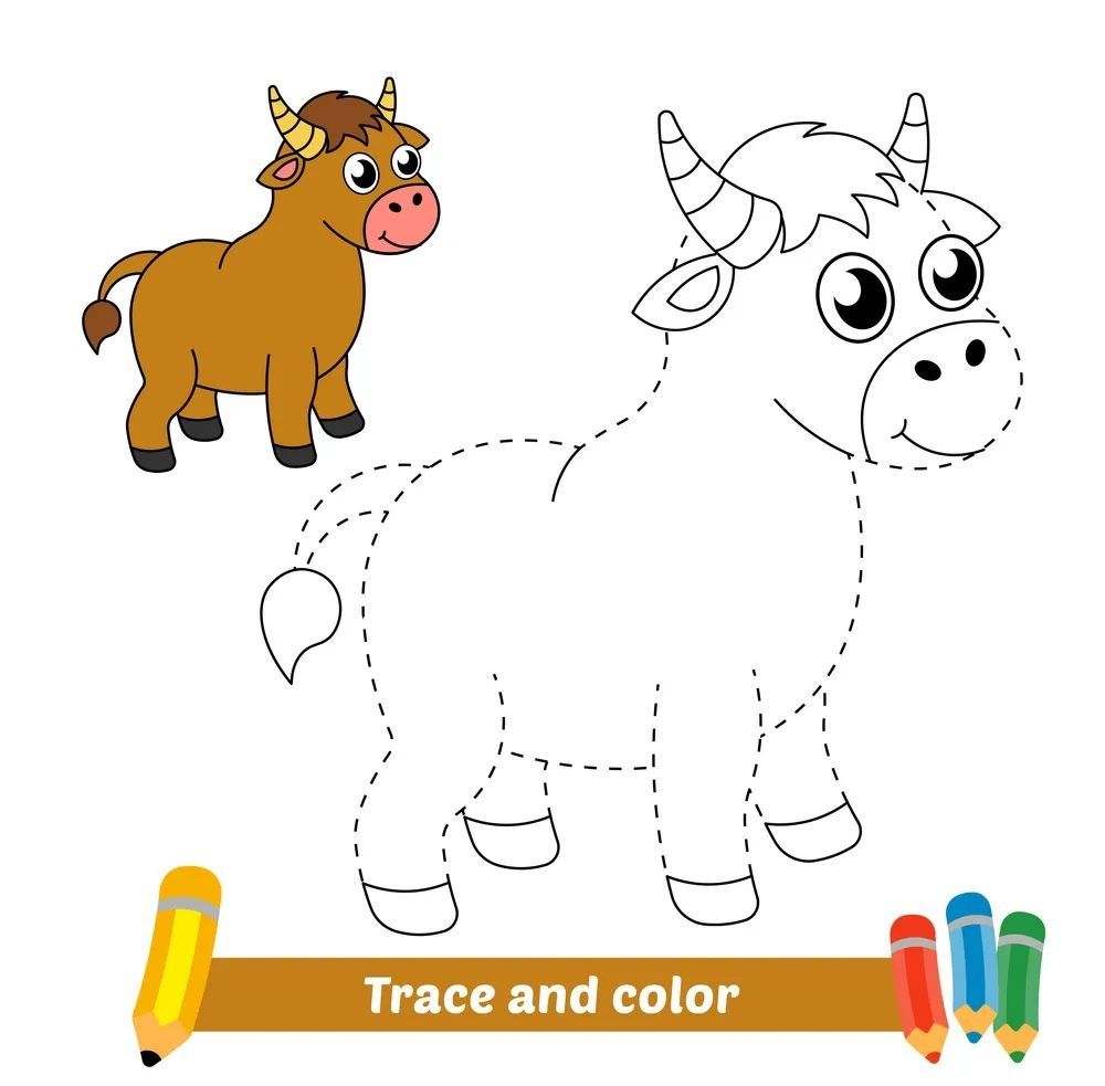 Çizgi Çalışmaları