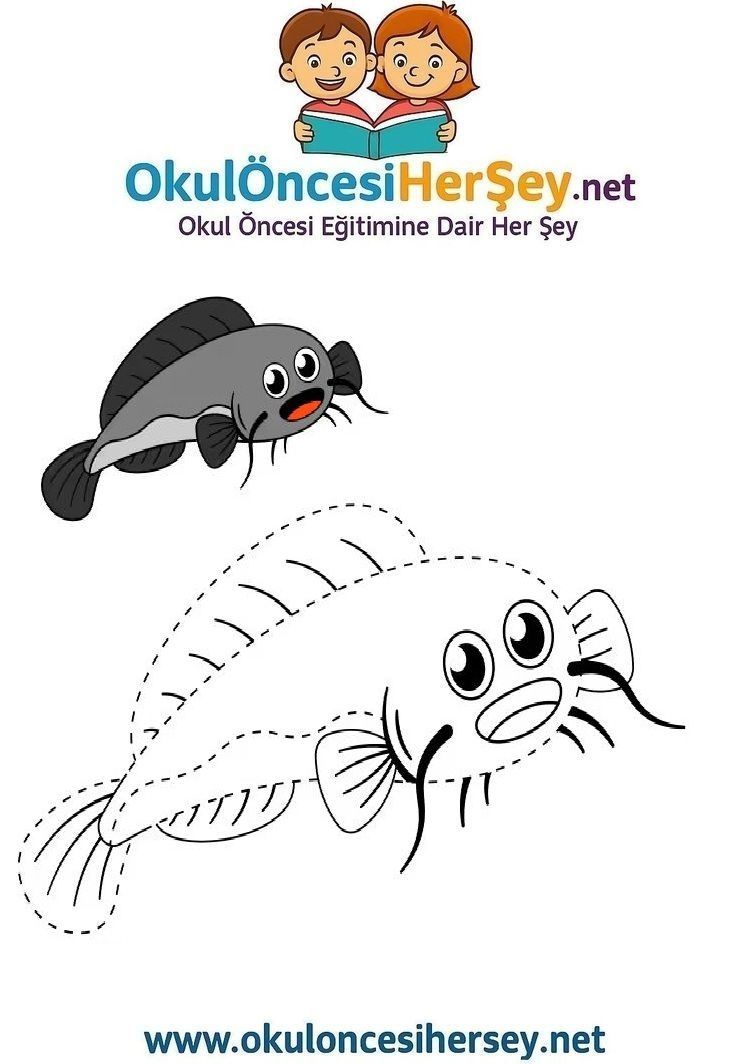 Çizgi Çalışmaları