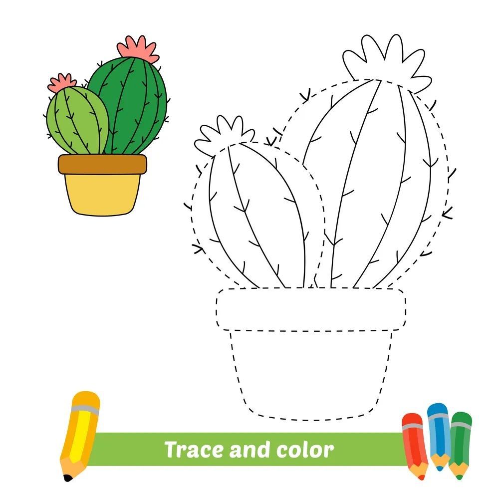 Çizgi Çalışmaları