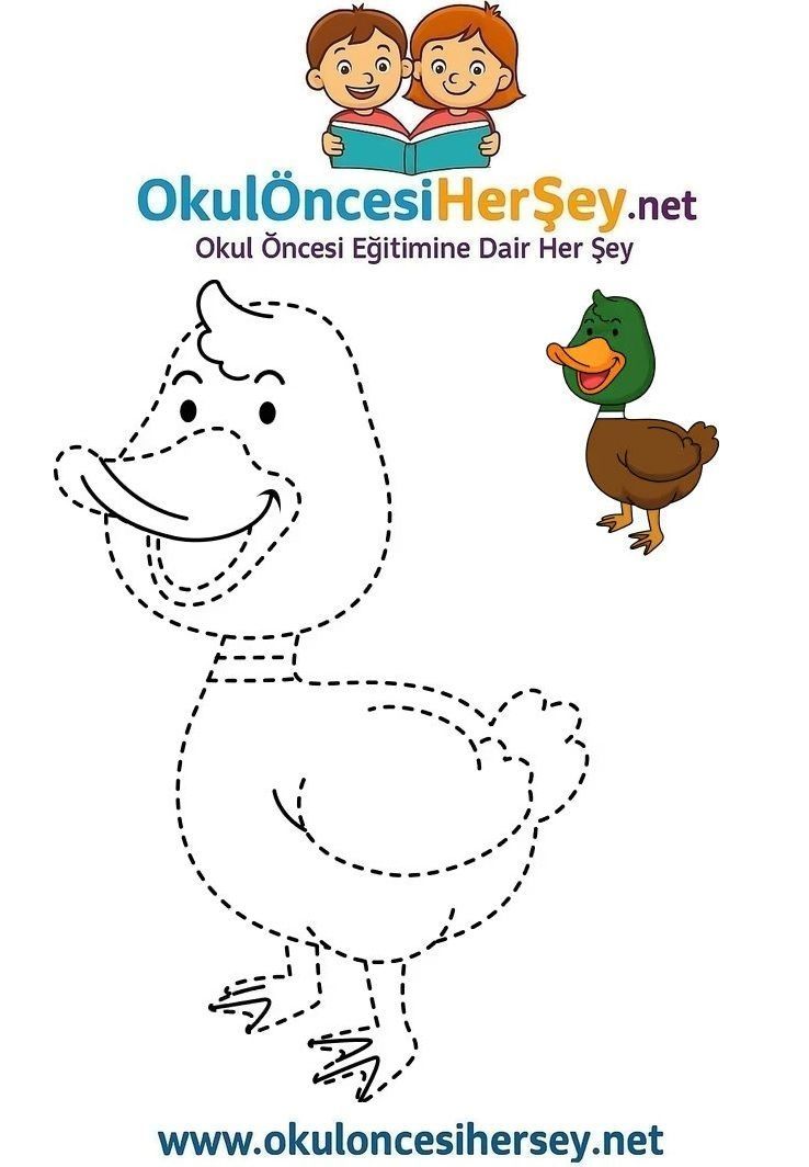 Çizgi Çalışmaları