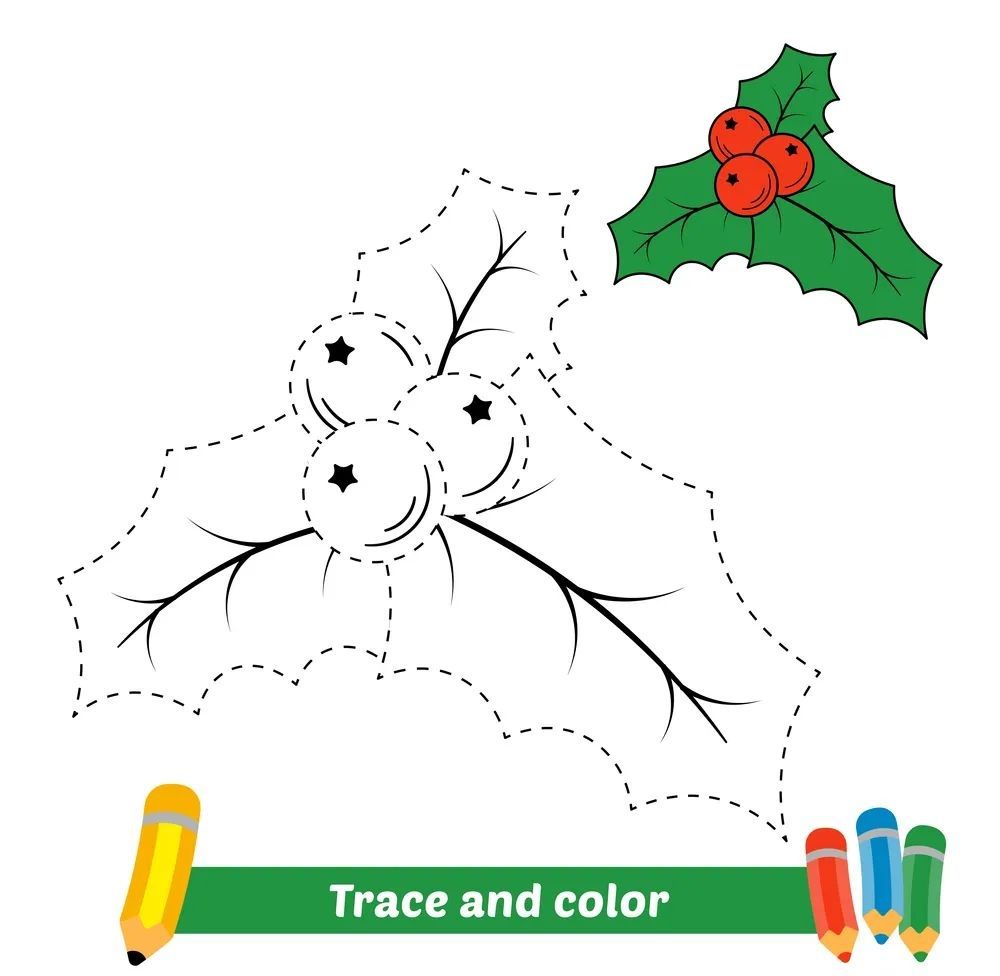 Çizgi Çalışmaları