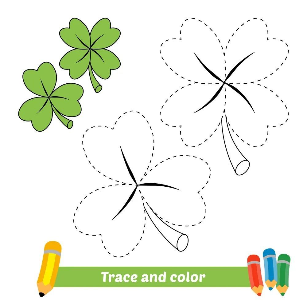 Çizgi Çalışmaları