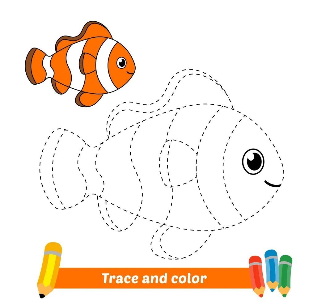 Çizgi Çalışmaları