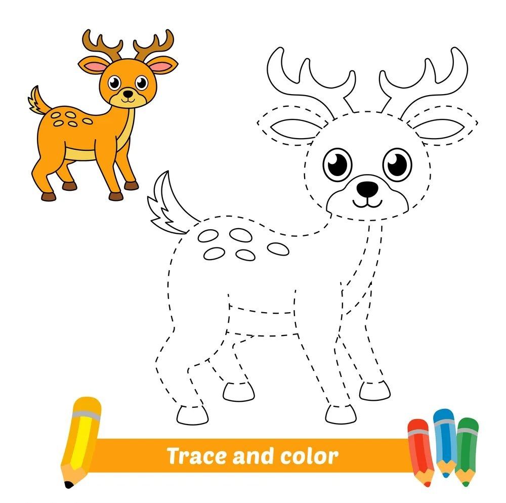 Çizgi Çalışmaları