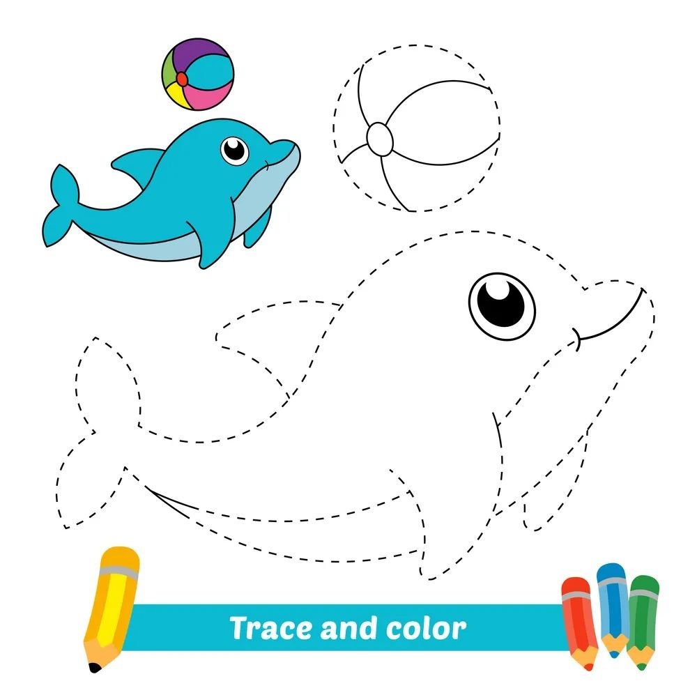 Çizgi Çalışmaları