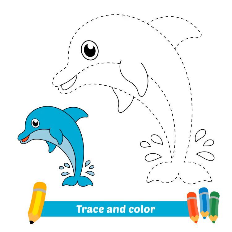 Çizgi Çalışmaları