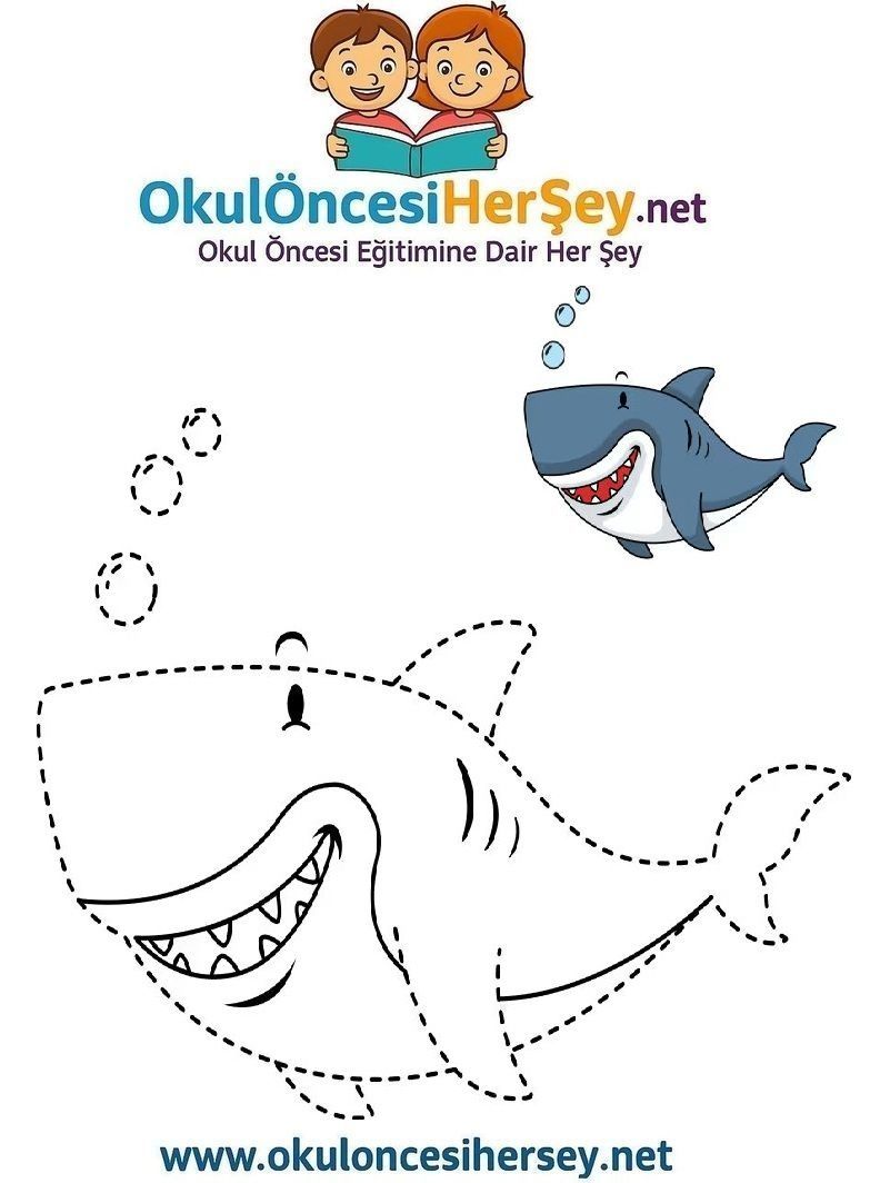 Çizgi Çalışmaları