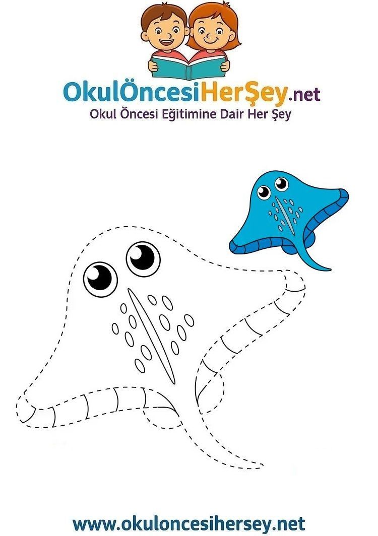 Çizgi Çalışmaları