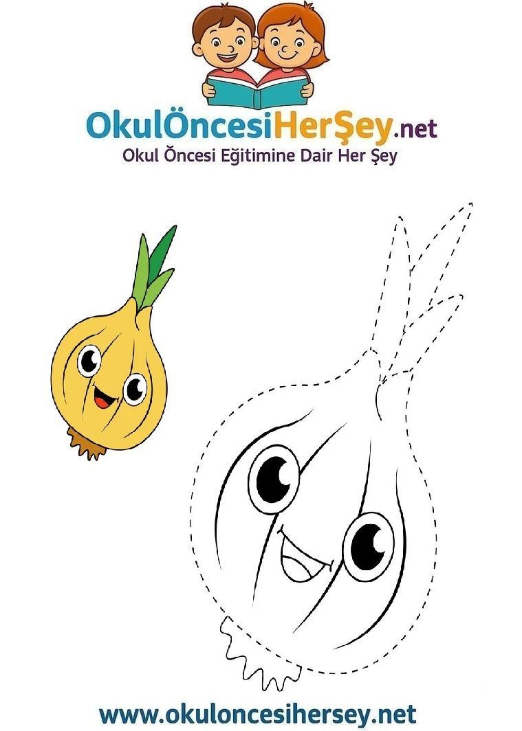 Çizgi Çalışmaları