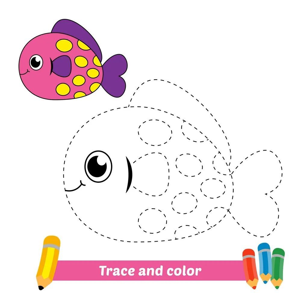 Çizgi Çalışmaları