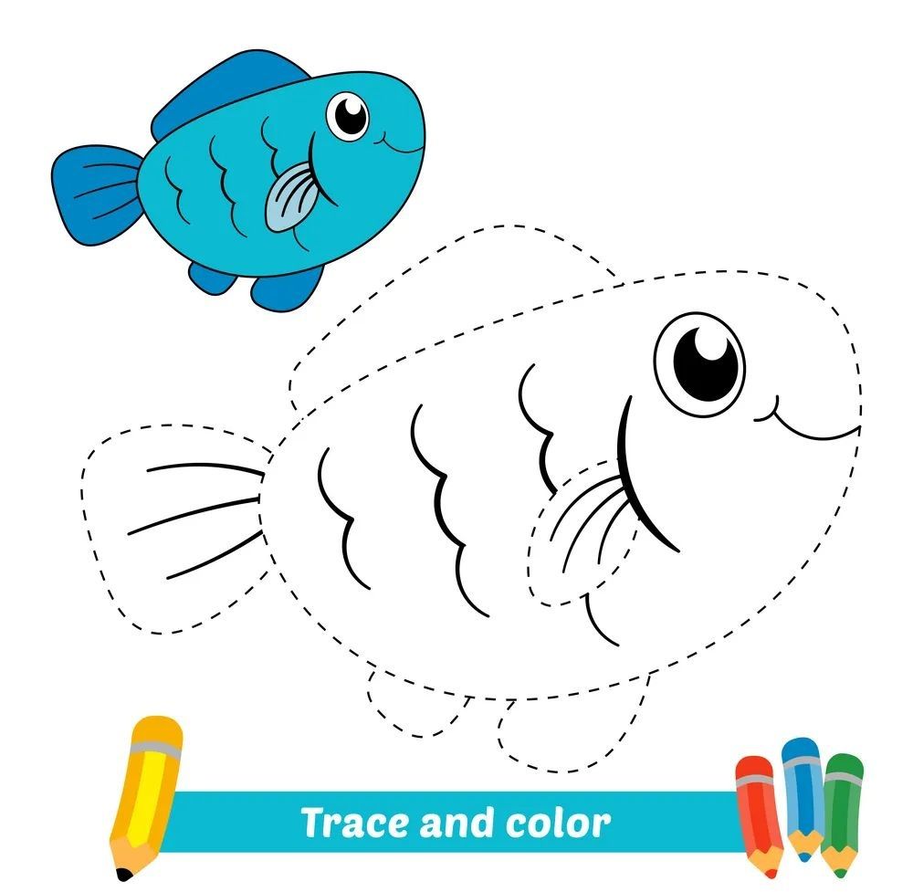 Çizgi Çalışmaları