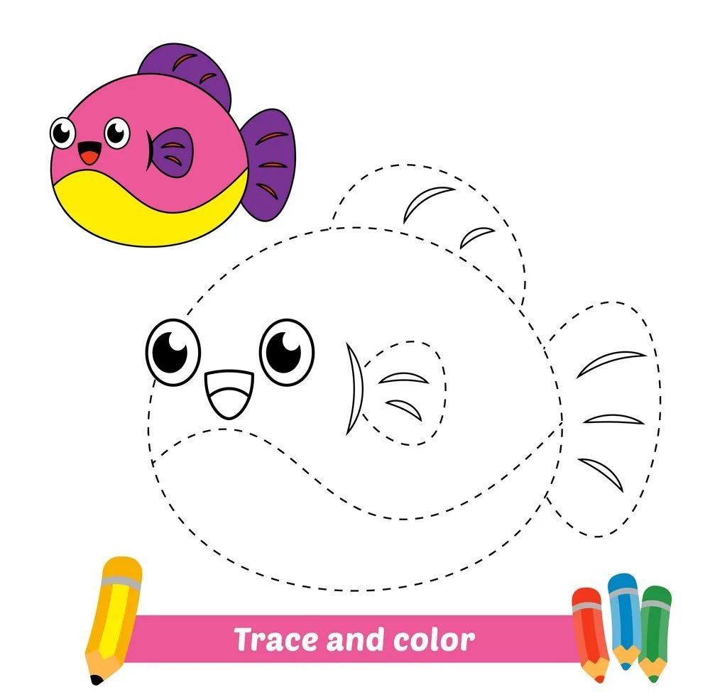 Çizgi Çalışmaları