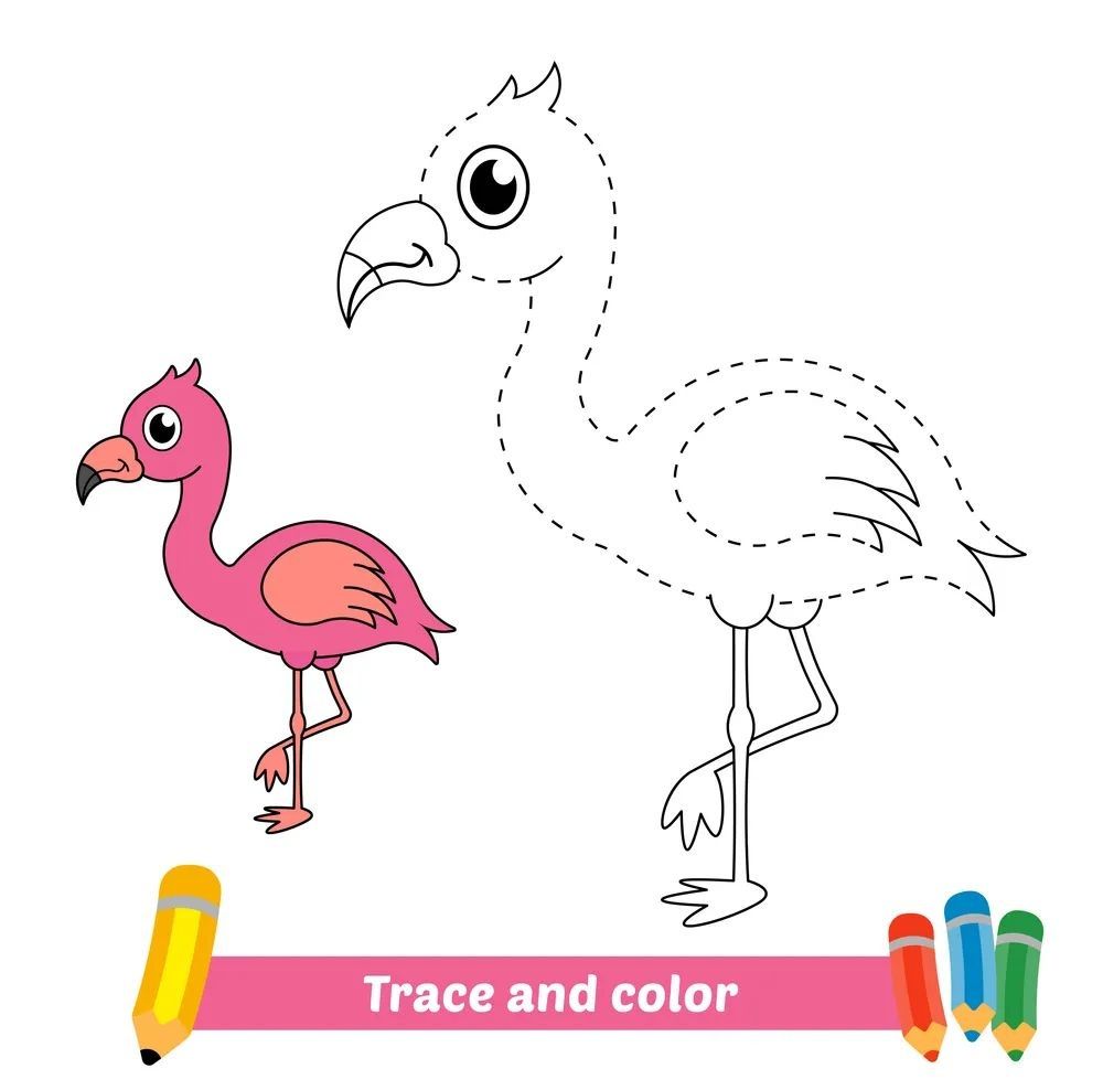 Çizgi Çalışmaları