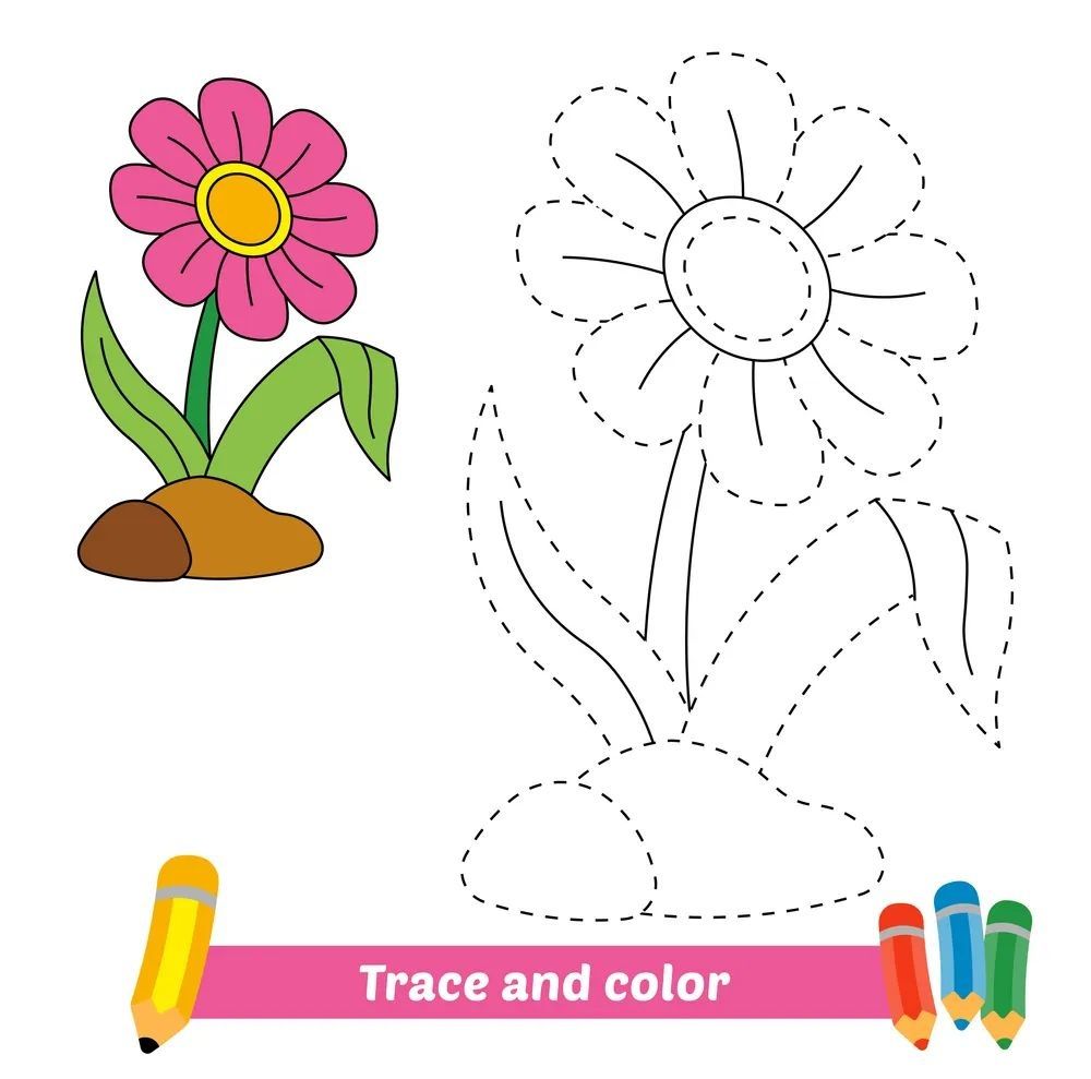 Çizgi Çalışmaları