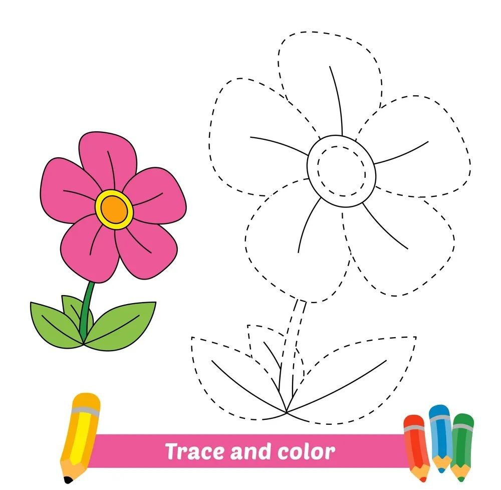 Çizgi Çalışmaları