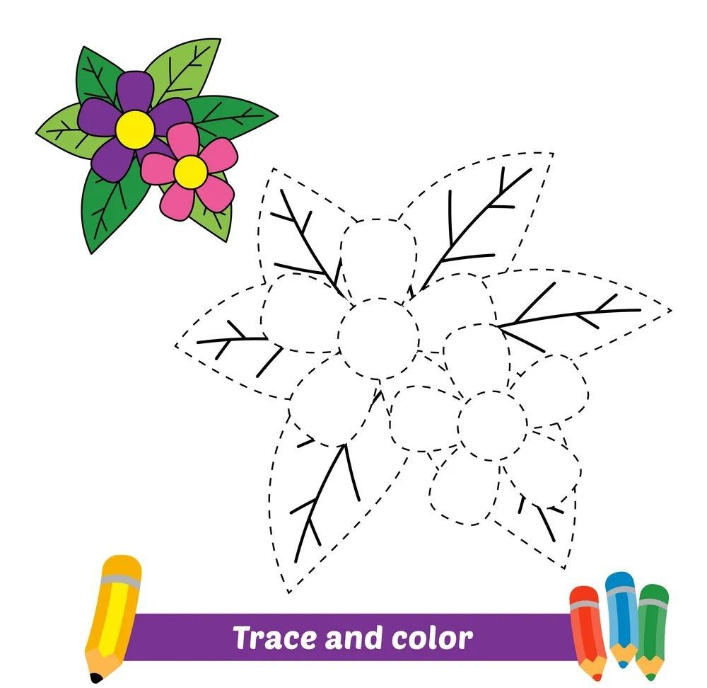 Çizgi Çalışmaları