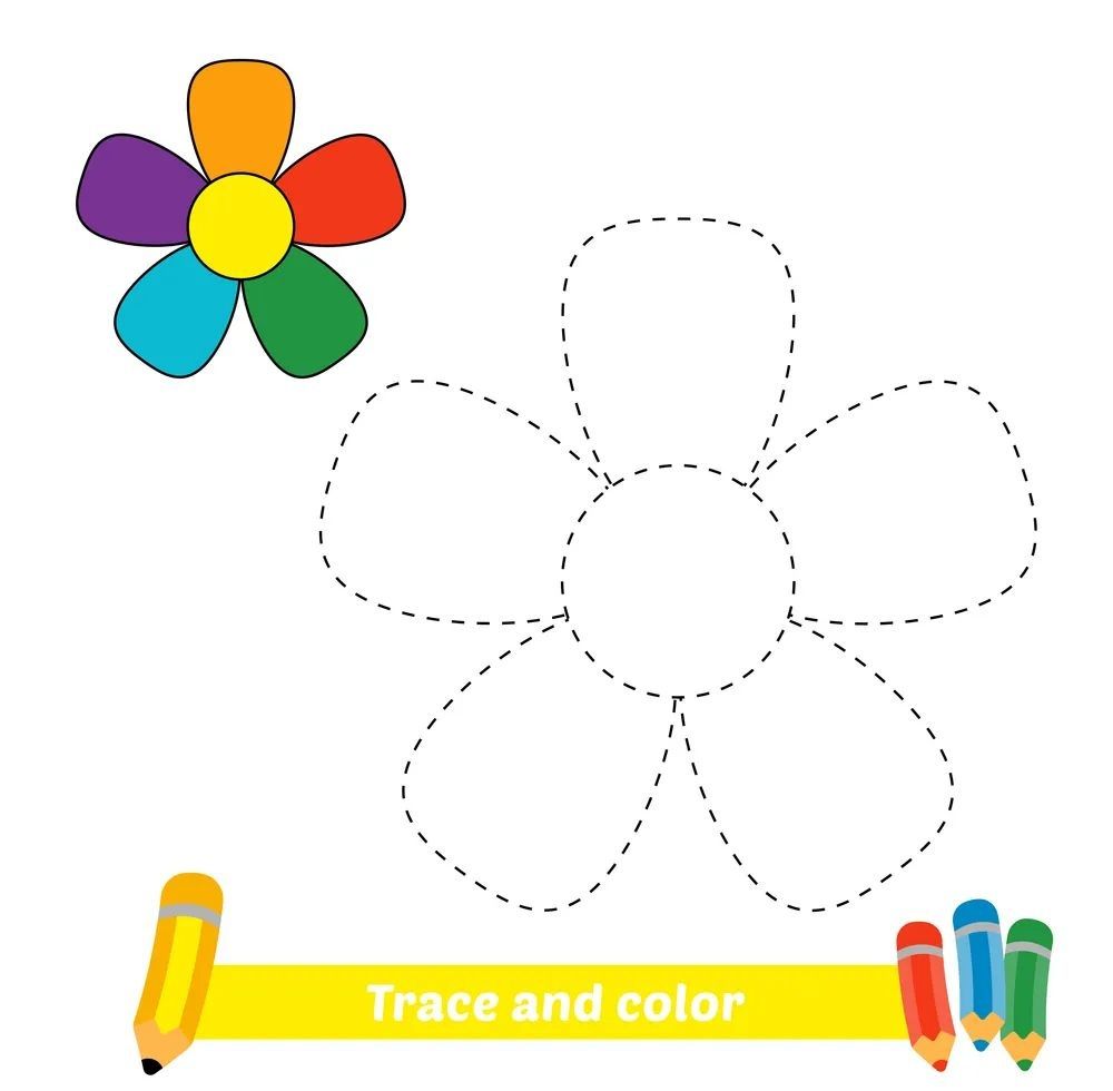 Çizgi Çalışmaları