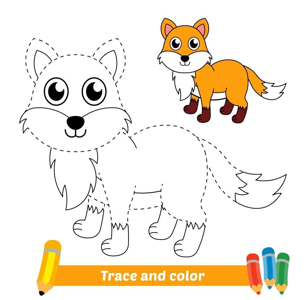 Çizgi Çalışmaları