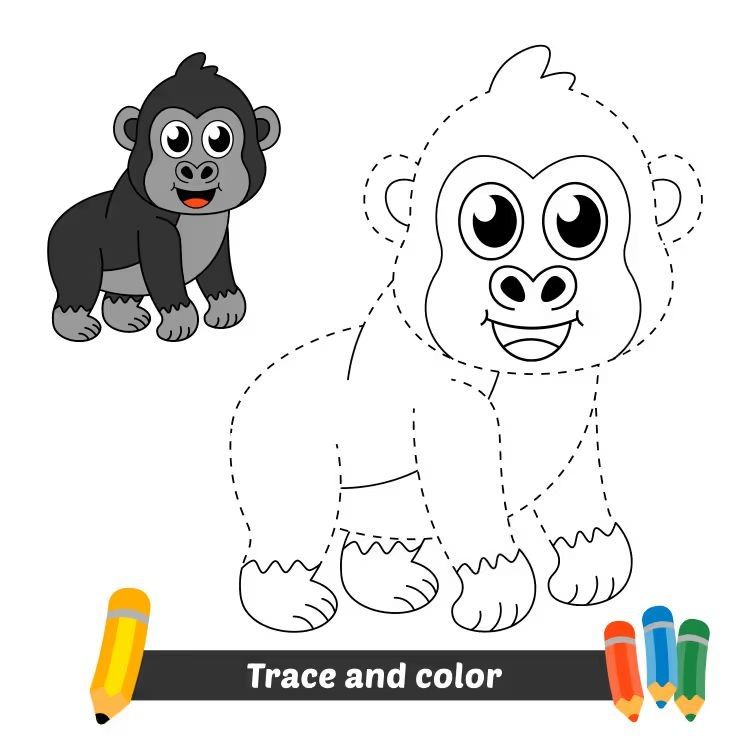 Çizgi Çalışmaları