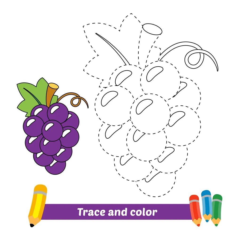 Çizgi Çalışmaları