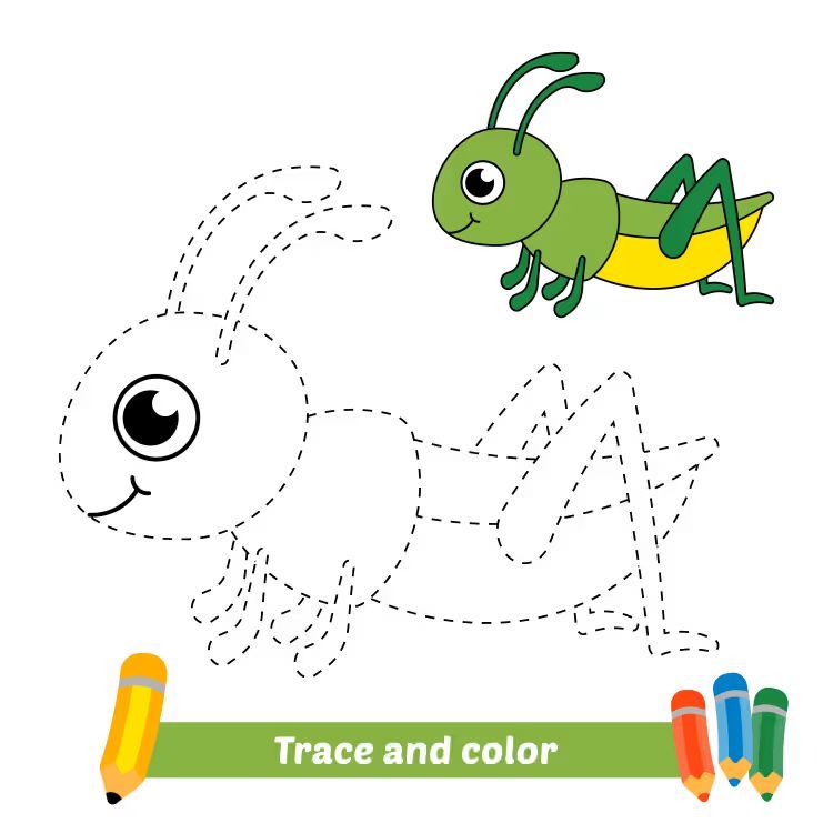 Çizgi Çalışmaları