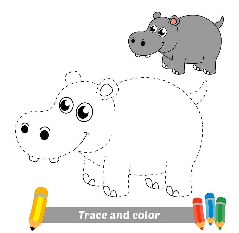 Çizgi Çalışmaları