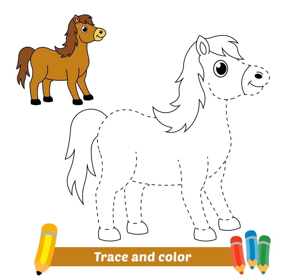 Çizgi Çalışmaları