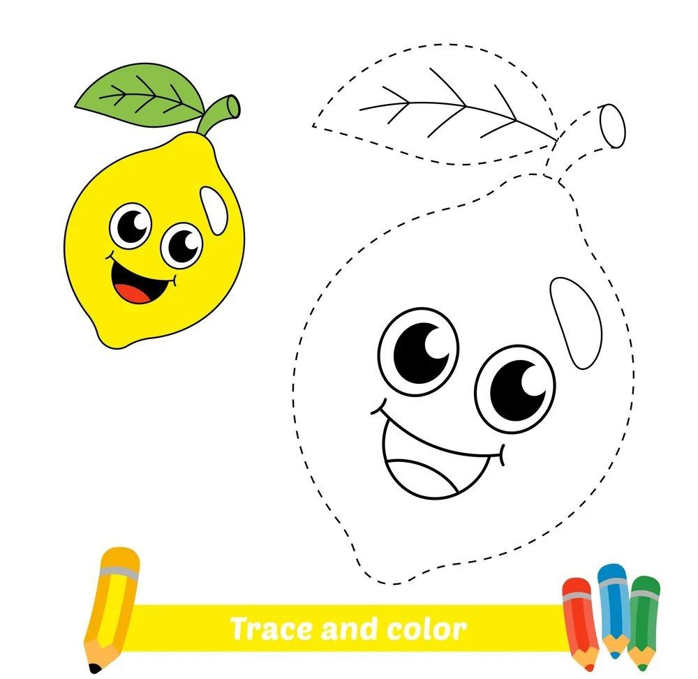 Çizgi Çalışmaları