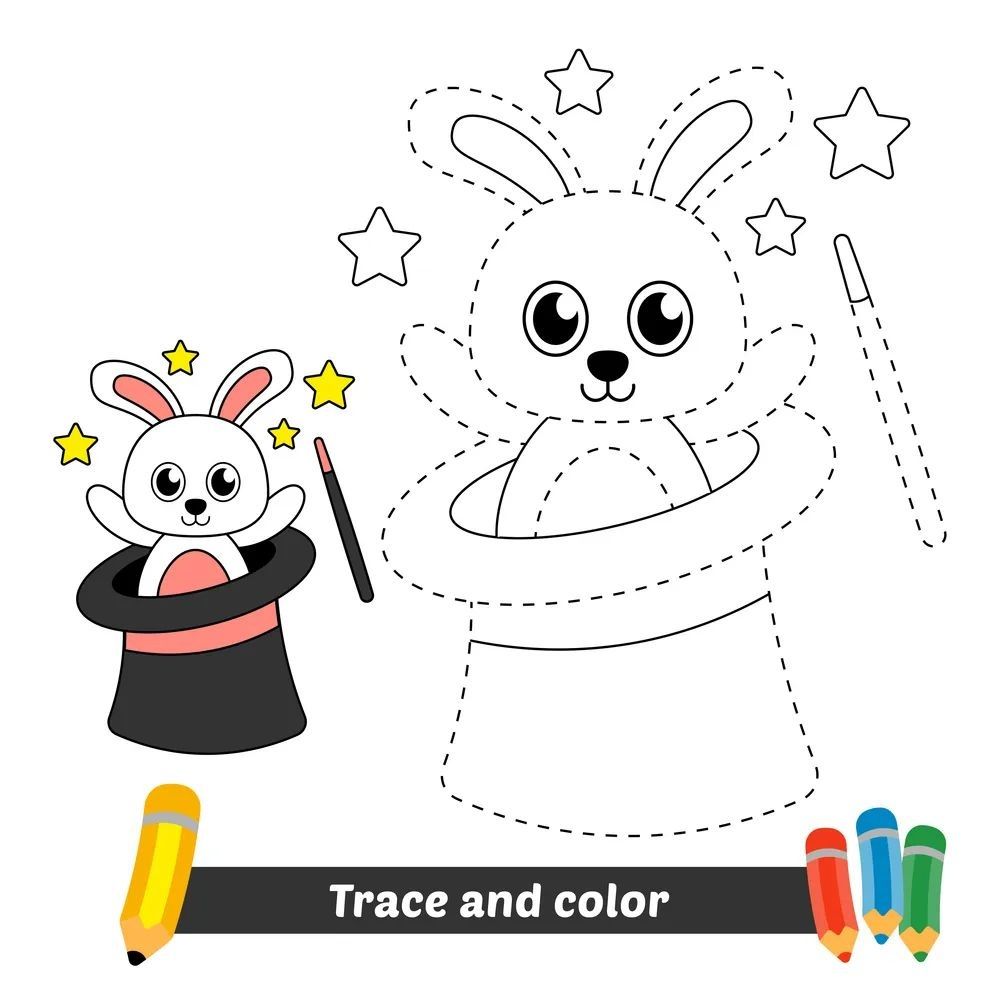 Çizgi Çalışmaları