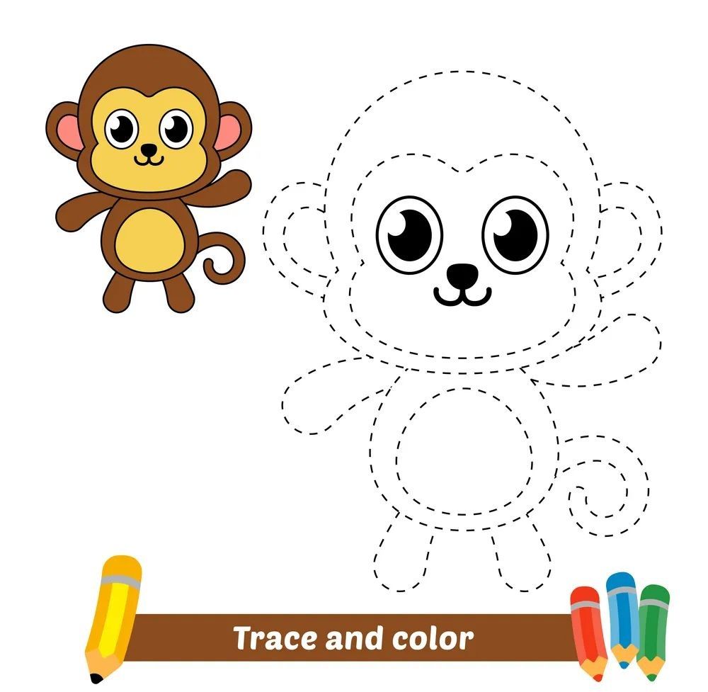 Çizgi Çalışmaları