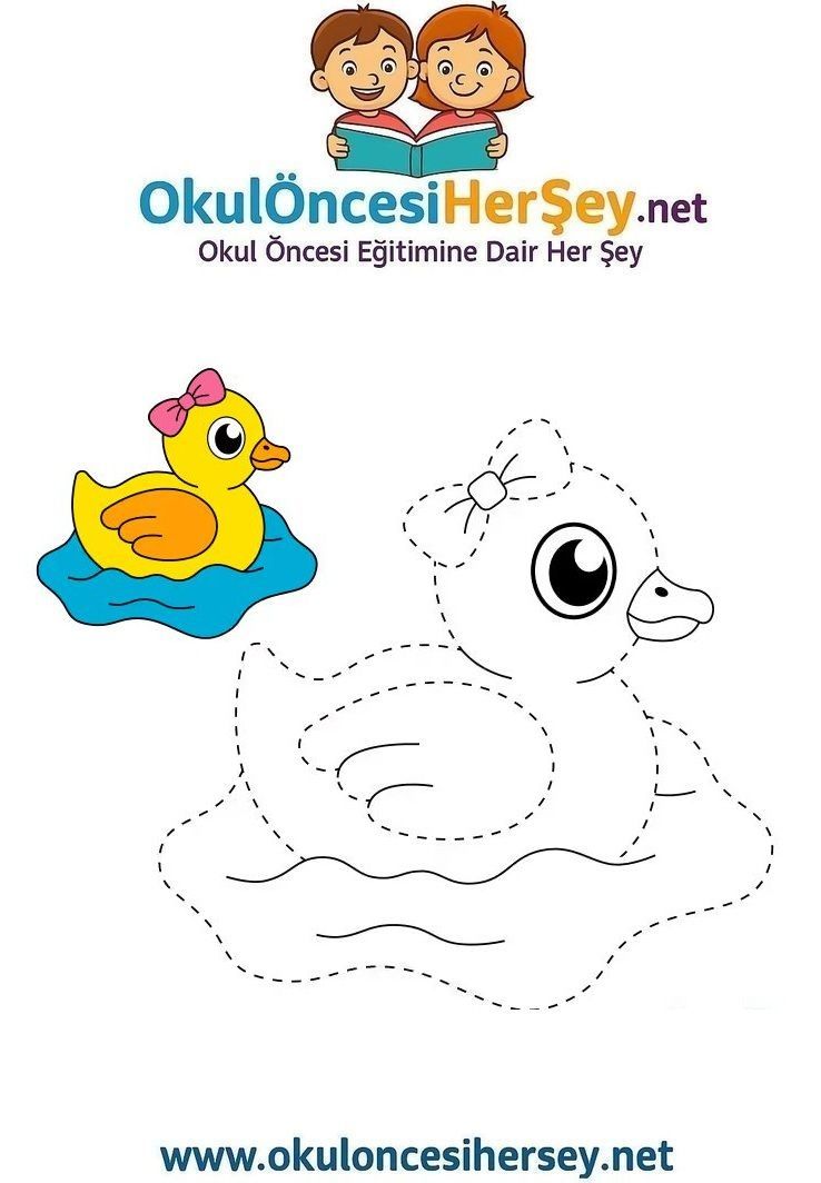 Çizgi Çalışmaları