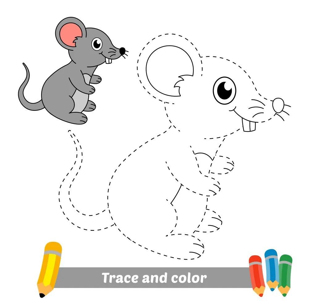 Çizgi Çalışmaları