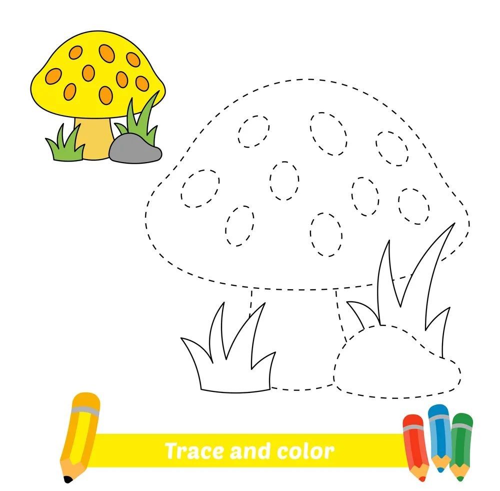 Çizgi Çalışmaları