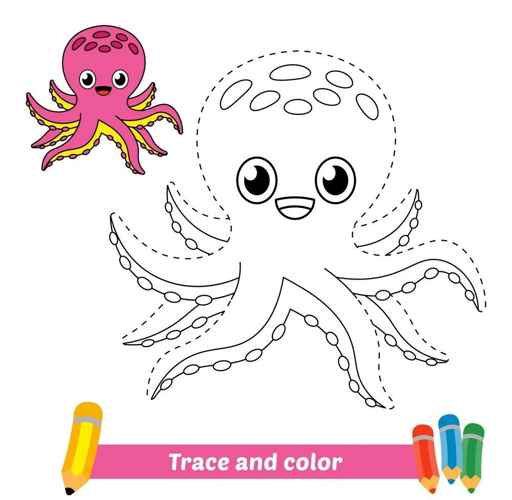 Çizgi Çalışmaları