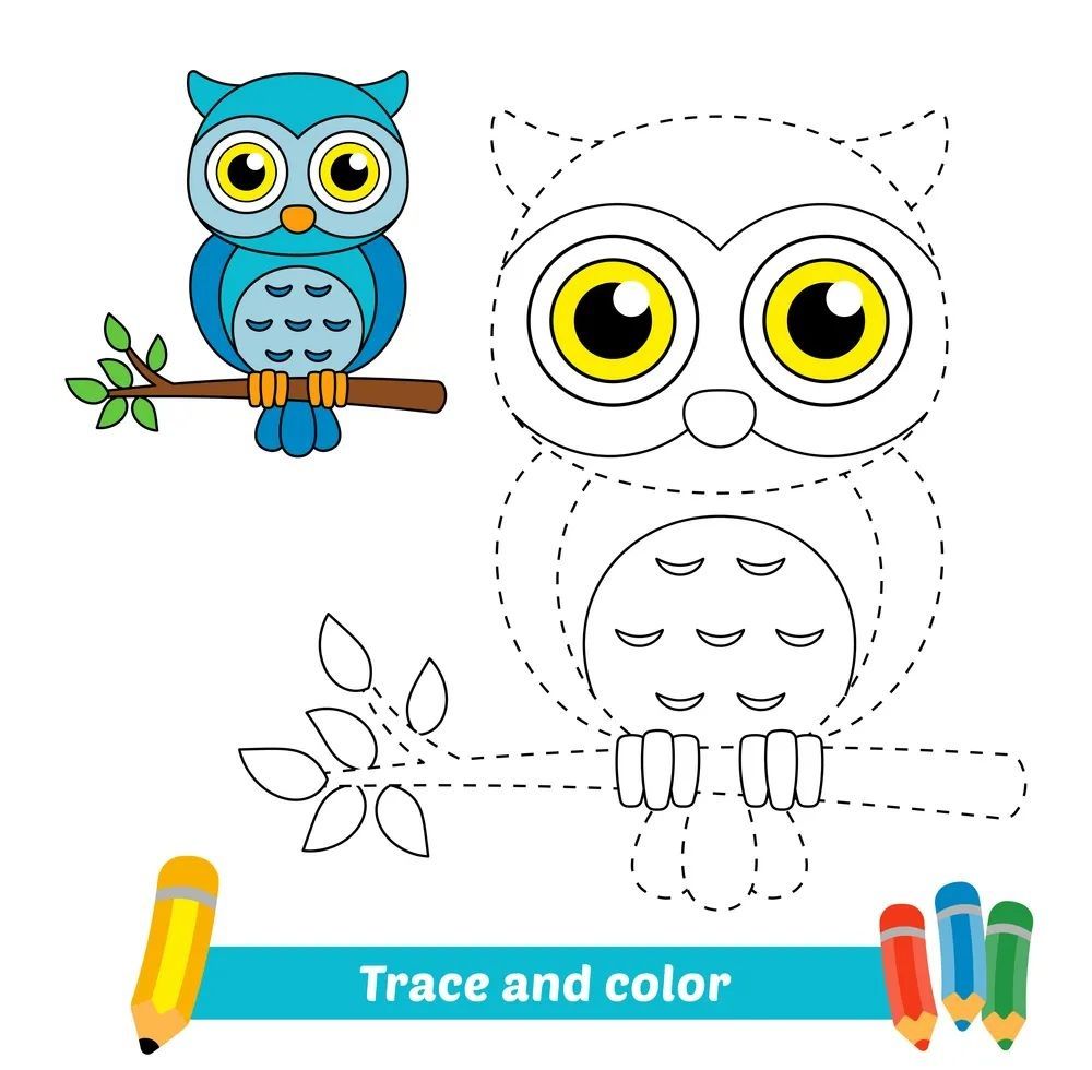 Çizgi Çalışmaları