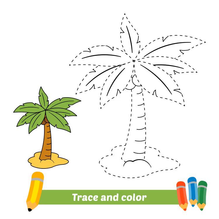 Çizgi Çalışmaları