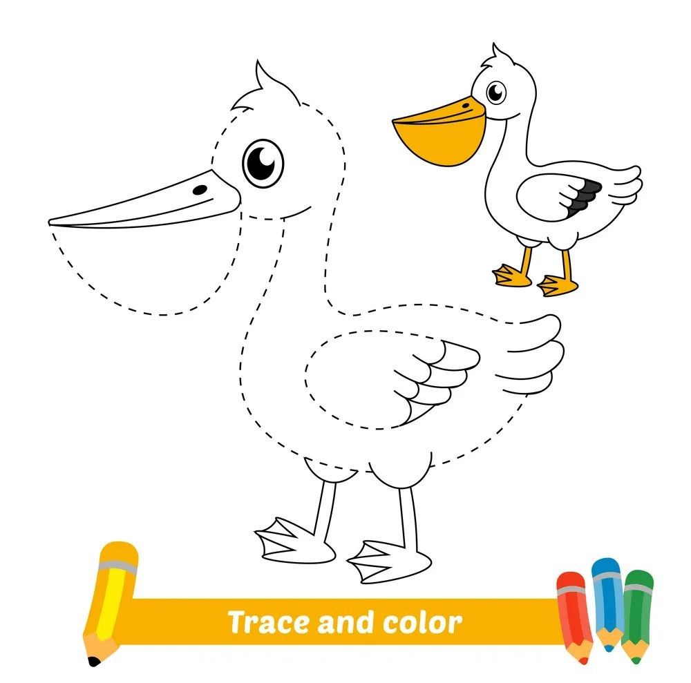 Çizgi Çalışmaları