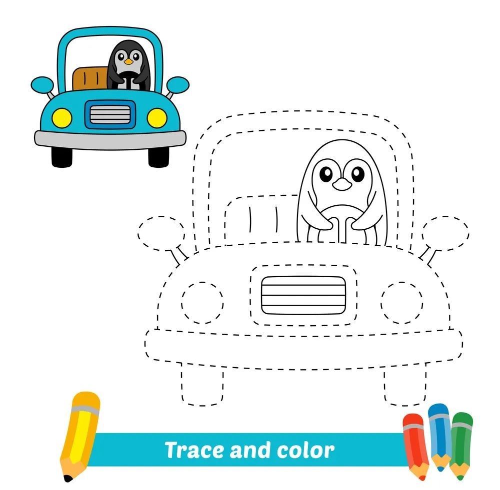 Çizgi Çalışmaları