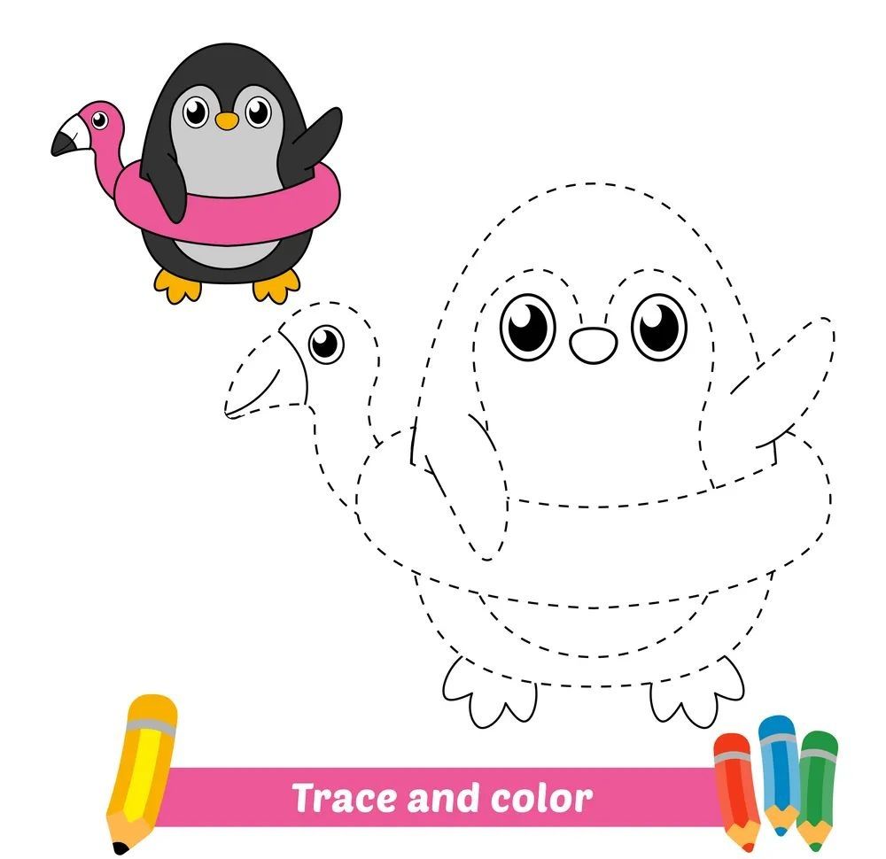 Çizgi Çalışmaları