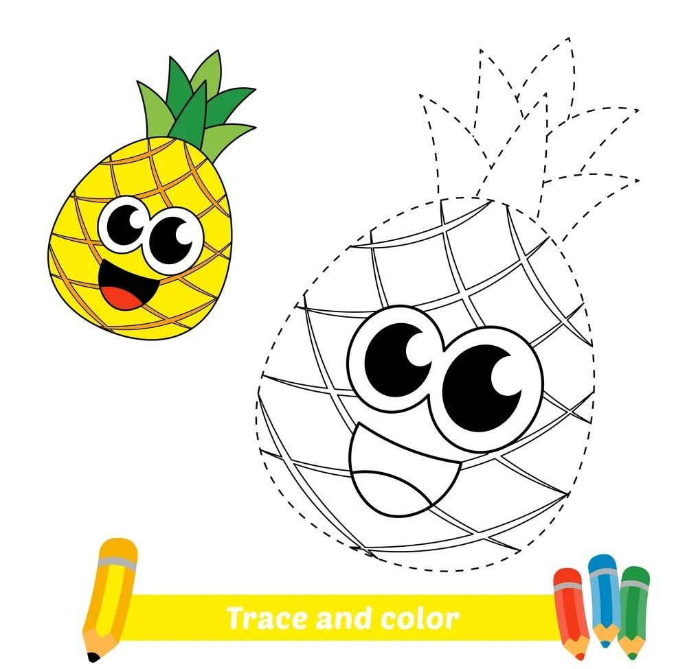 Çizgi Çalışmaları