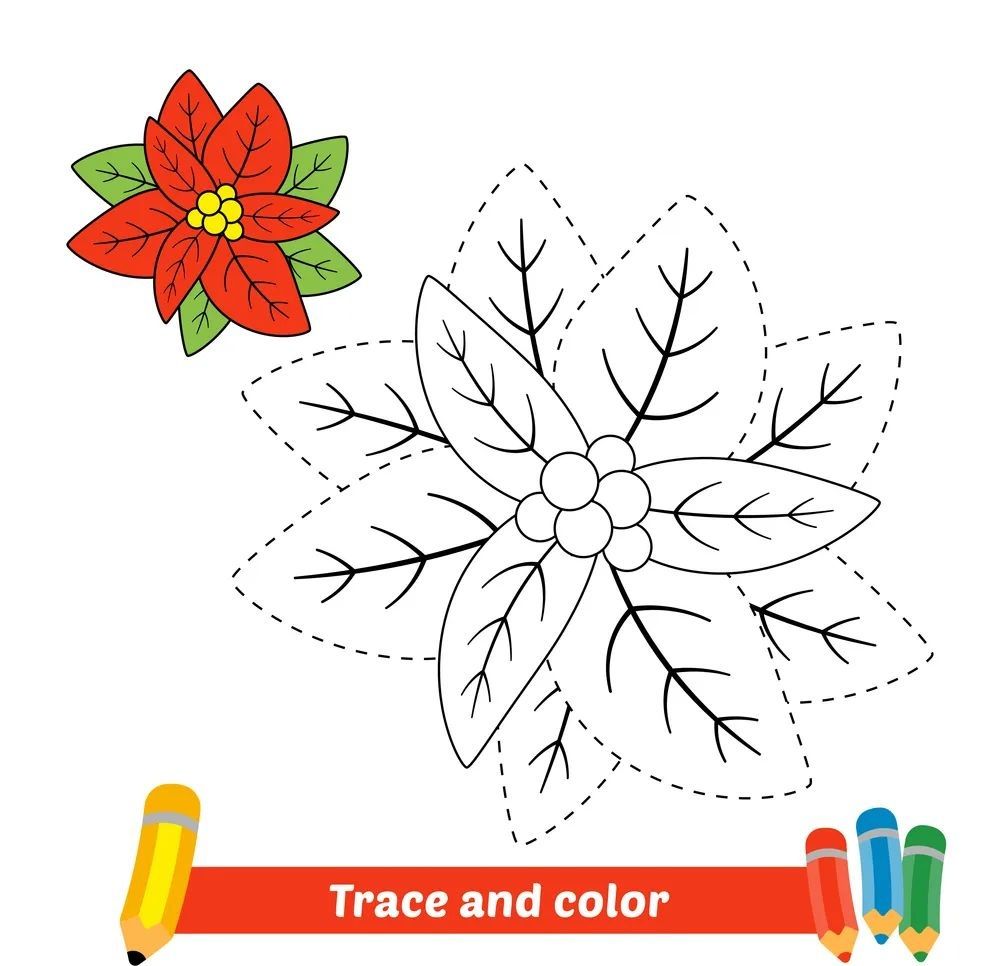 Çizgi Çalışmaları