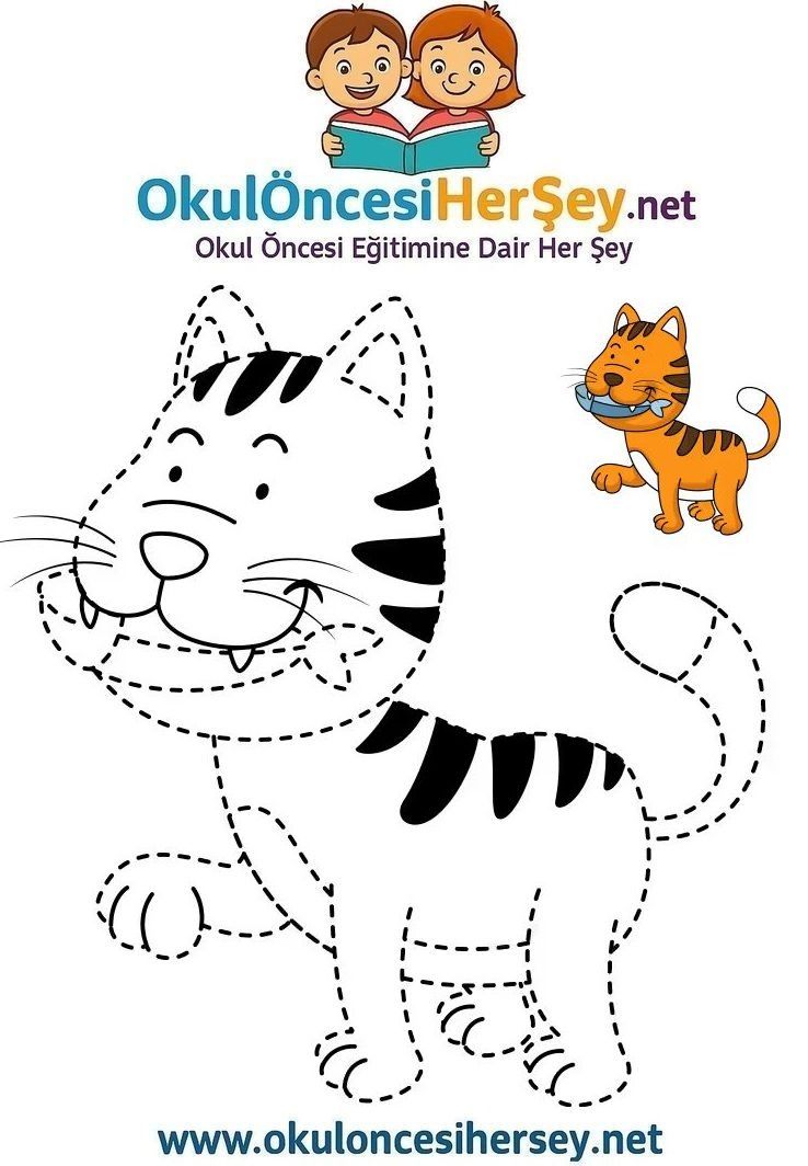 Çizgi Çalışmaları