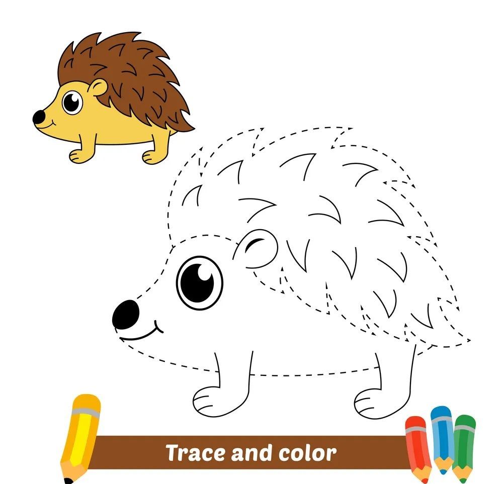 Çizgi Çalışmaları