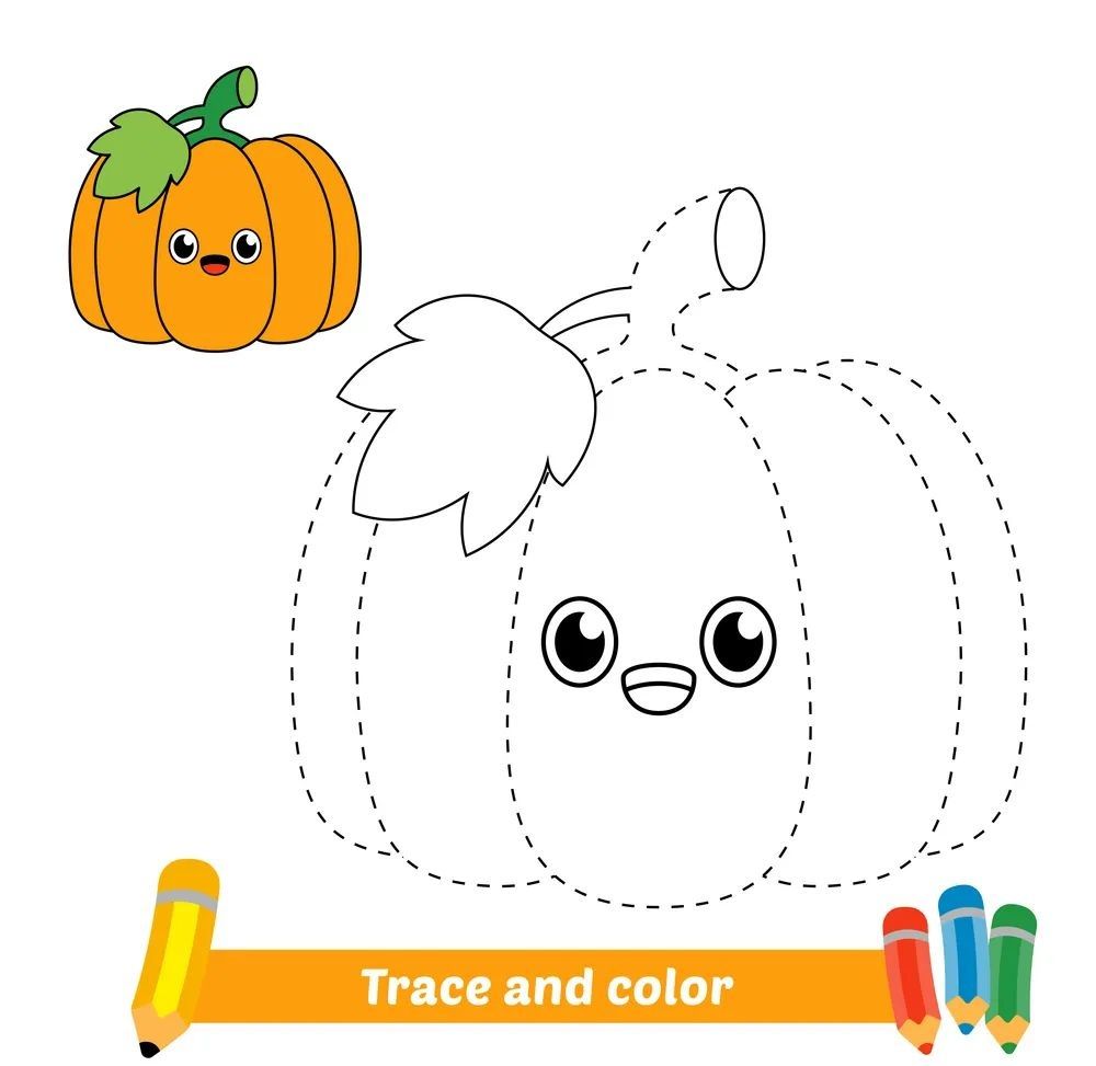 Çizgi Çalışmaları