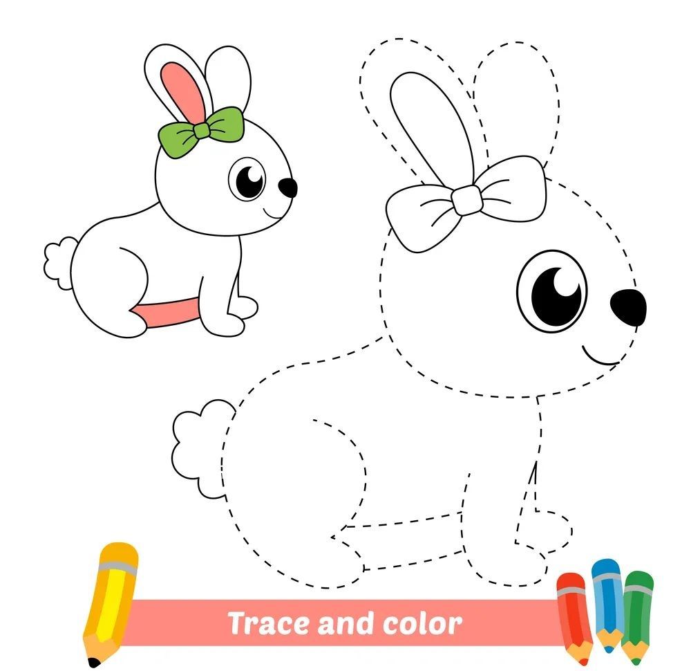 Çizgi Çalışmaları